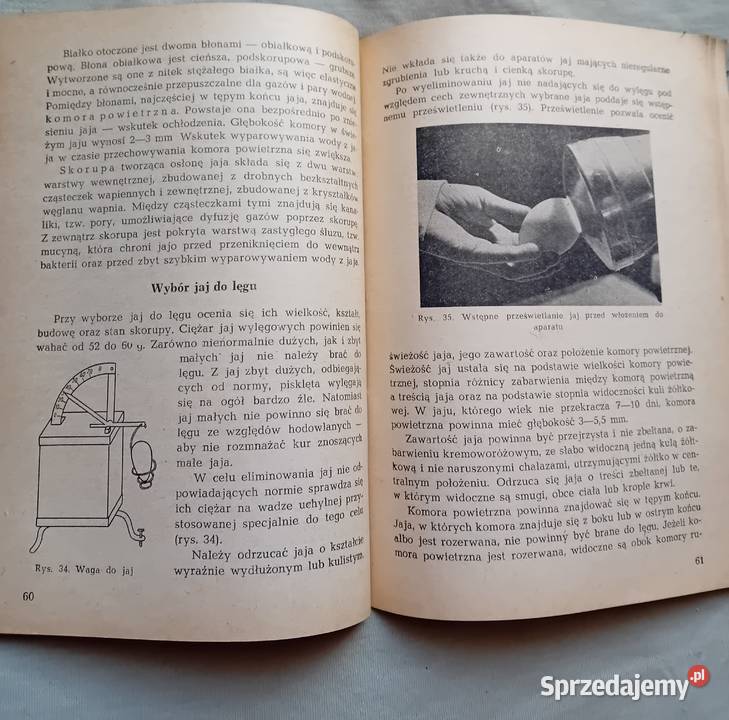 Inż M Czekalińska Sztuczny wyląg drobiu PWRiL Koźminek