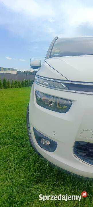 Citroen C4 grand Picasso 16 bluehdi SELECTION 1 kujawsko-pomorskie Wilcze