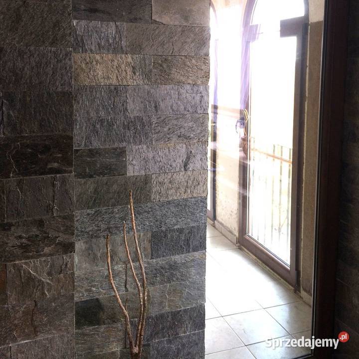 Płytki Łupek Silver Shine naturalny 10x30x0813 wielkopolskie sprzedam