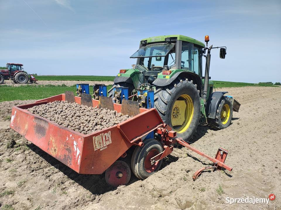 Sadzarka do ziemniaków GRIMME GRUSE REMPRODEX 4 Trzyciąż