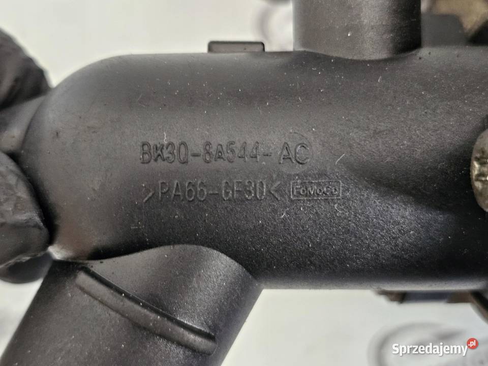FORD TRANSIT 22 TDCI CYR5 EURO 5 125 pompa wody świętokrzyskie sprzedam