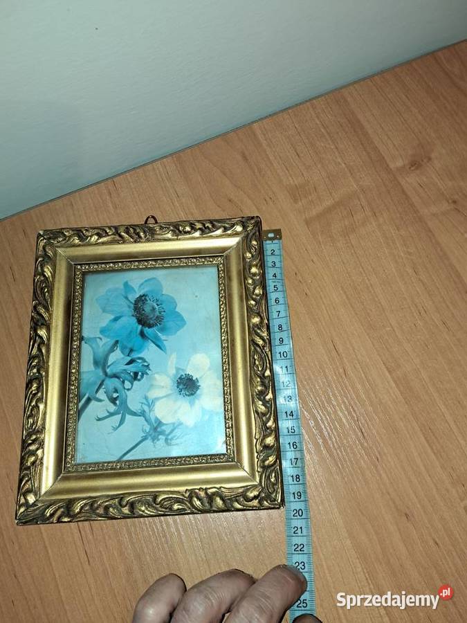 Stary obrazek w pięknej ramie papier szkłem Lubań