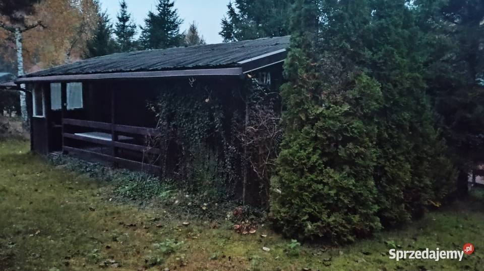 Domek na dzialke Liczba pokoi 2 pomorskie Gdańsk