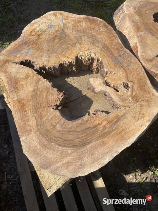 Plaster jesion orzech stolik kawowy live edge Przysucha