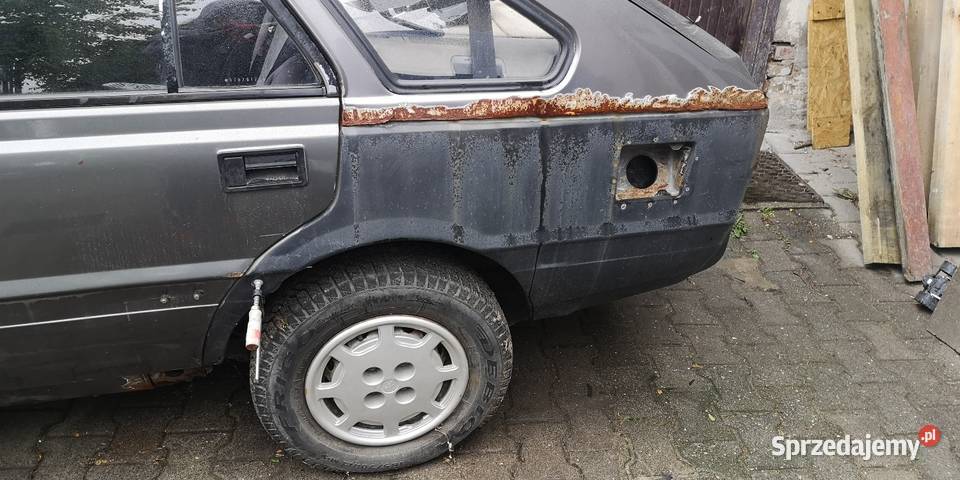 Polonez orciari rover Caro Poznań