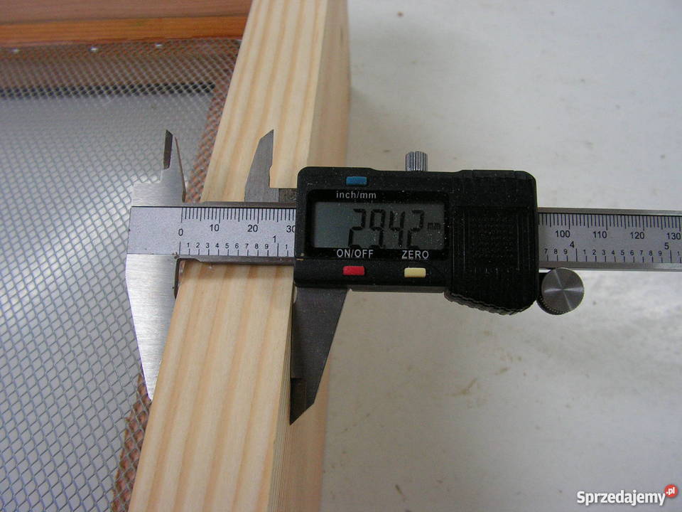 Dennica osiatkowana typ wielkopolski dolnośląskie Roztoka