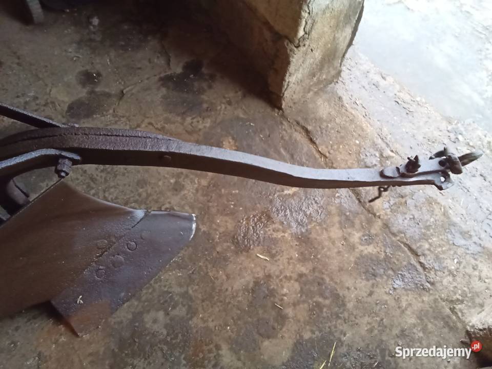 Plug jednoskibowy konny nieuszkodzony