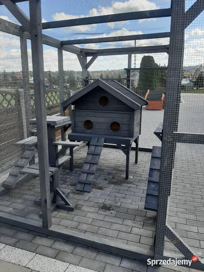 Buda kotów z wolierą Dla kotów Jordanów
