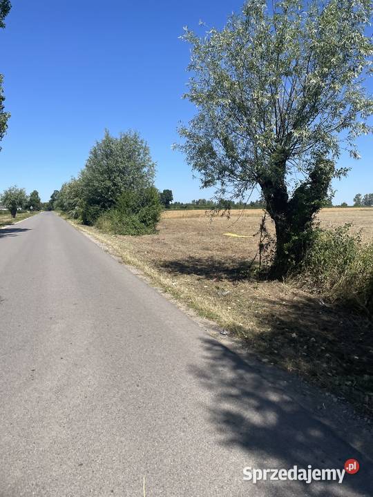 Działka 1 ha dojazd z dwóch stron trasie inwestycyjna Sochaczew