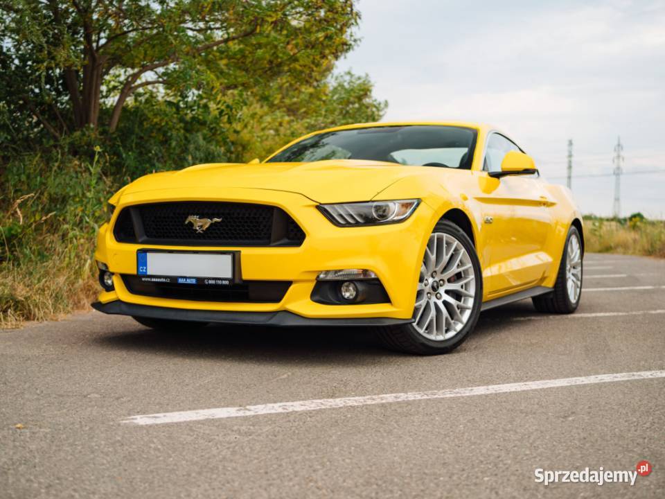 Ford Mustang GT V8 50 Piaseczno