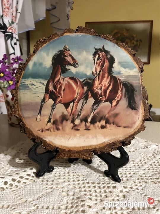 Obrazki motywy konie wielokolorowy podkarpackie Strzyżów