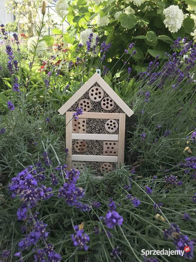 domek owadów pszczoły murarki zachodniopomorskie Sławno
