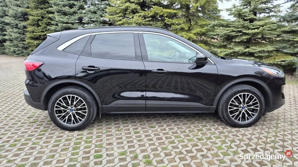 Ford Escape 25 Plug in hybrid PHEV Lublin