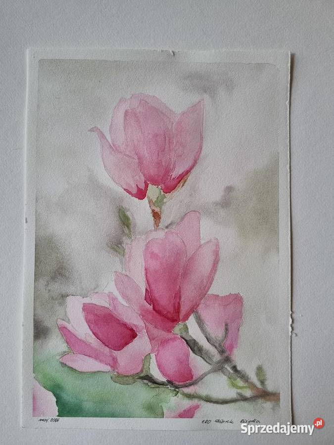 Magnolie oryginalna akwarela Łódź