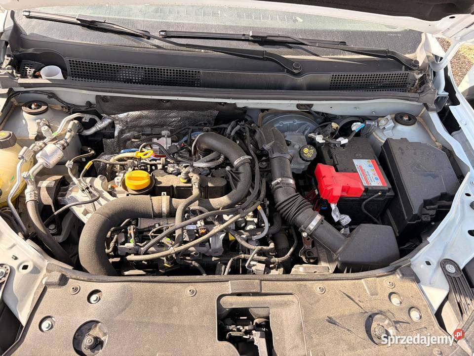 DACIA Jogger 10 ECOG 100 Extrme 7 miejsc pomorskie