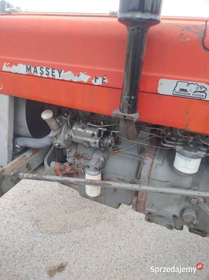Massey Ferguson 135 nie 255 Napęd 2x4 Przasnysz
