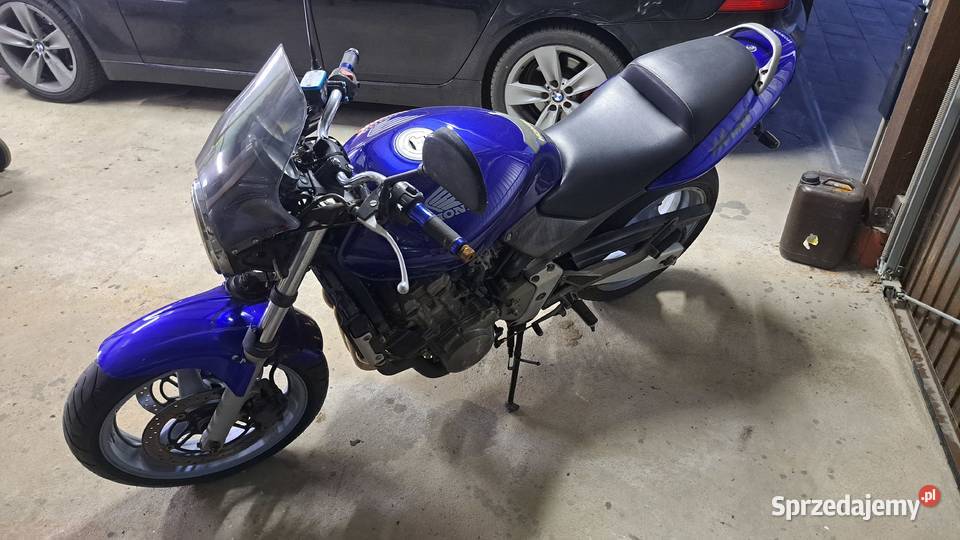 Honda Hornet Honda Rozogi