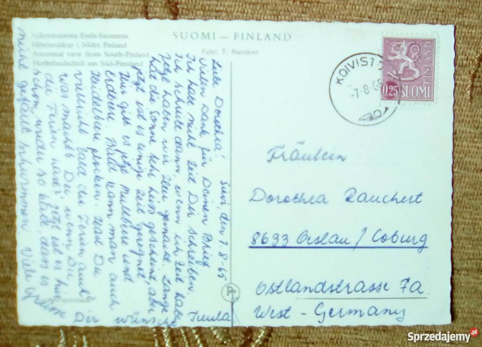 BIAŁE BRZOZY BRZEGIEM RZEKI W SKANDYNAWI Piszczac sprzedam