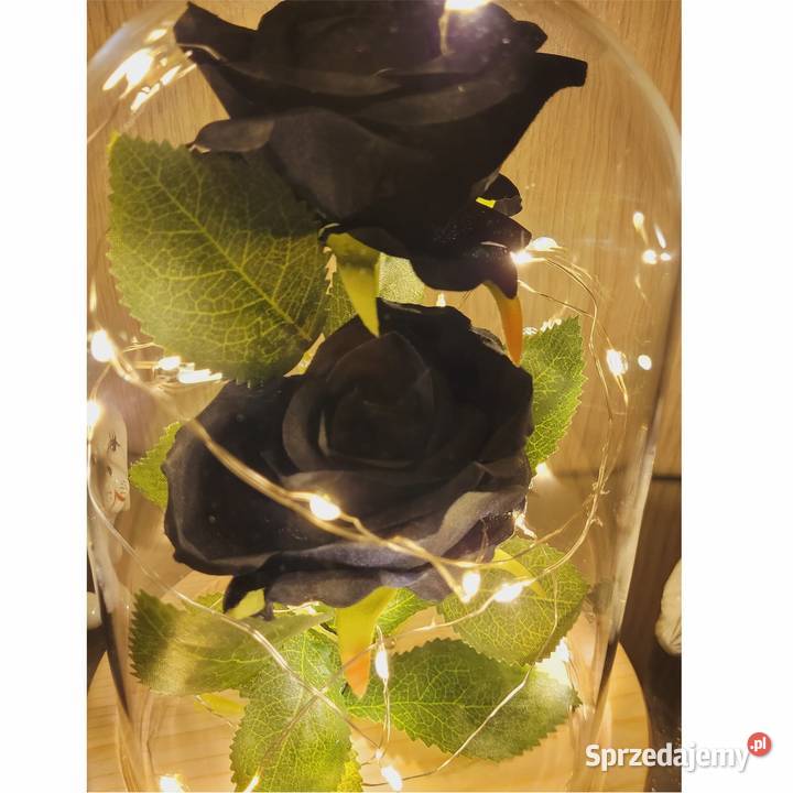 Wieczna róża czarna na prezent mamy babci żony Mikołów