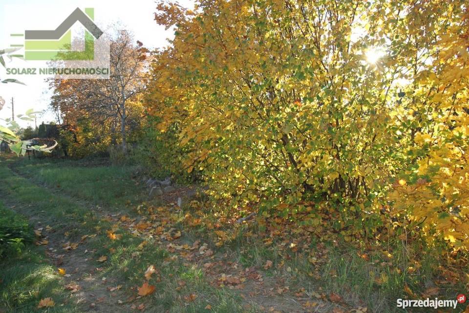 dom wolnostojący sprzedam Sosnowiec