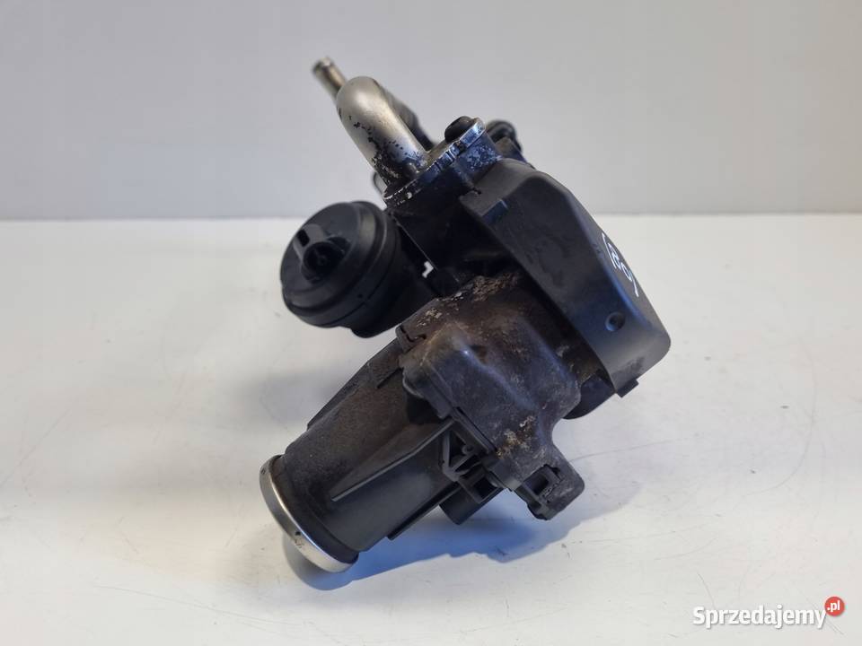 CHŁODNICA SPALIN EGR VW Golf VI A3 8P Octavia II osobowe Rudka