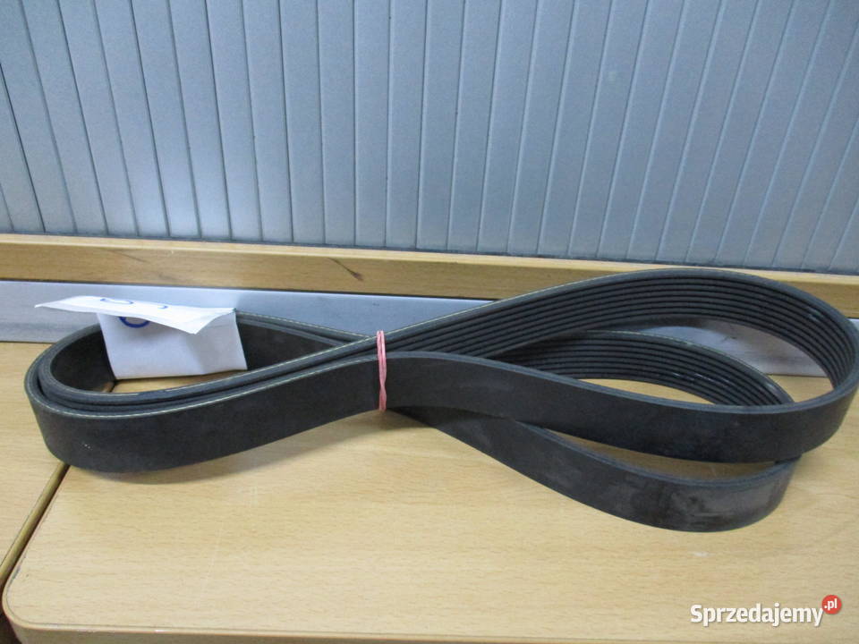 Pasek klinowy rowkowany Man 51968200344 Mogilno