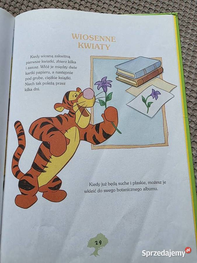 Przygody Kubusia Puchatka WIOSNA małopolskie