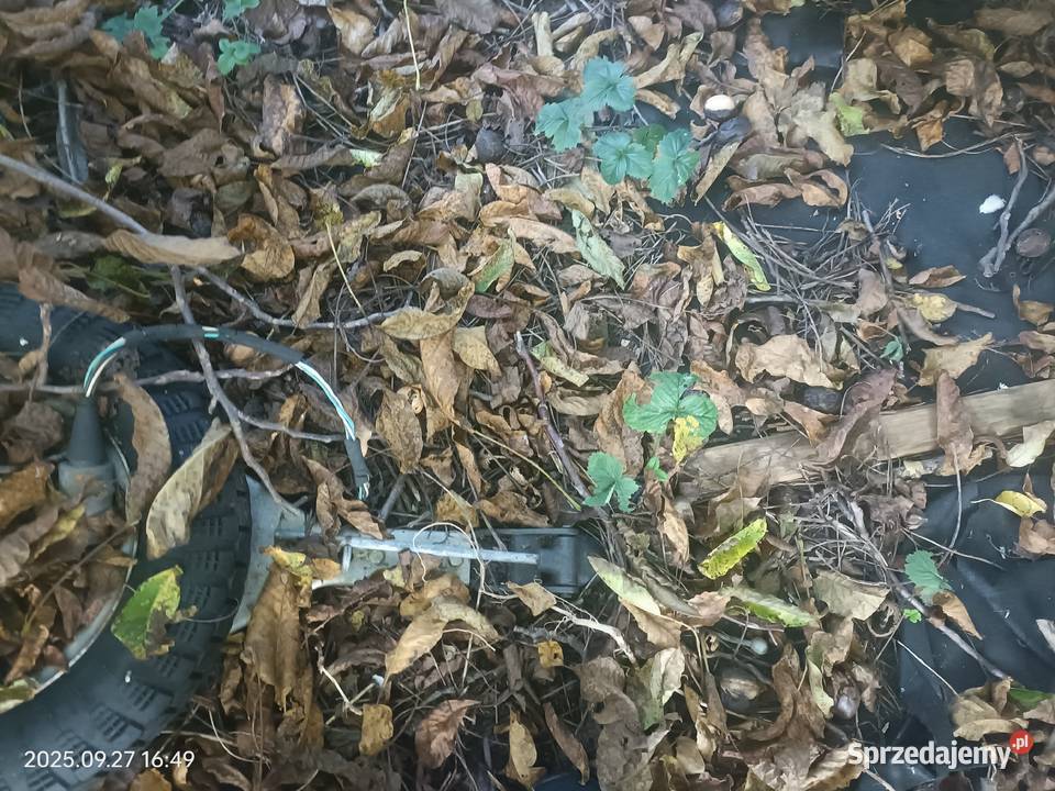 przycepki bez dokumentów towarowe Przyczepy Elbląg