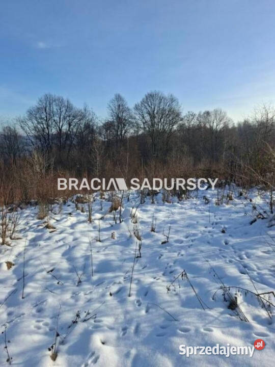 Grunt Wieliczka 2700m2 Sprzedaż