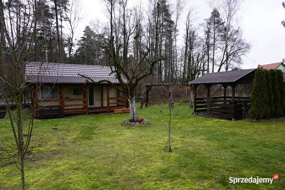 Działka rekreacyjna 500m2 w m Guty koło Giżycka Giżycko sprzedam