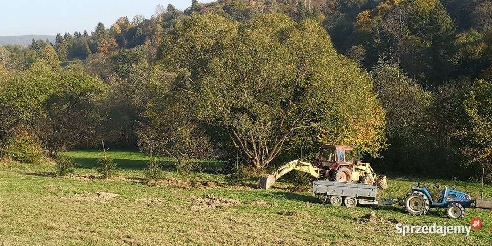 Mtz 82 koparko ładowarka Borex Pozostałe Teleśnica Oszwarowa