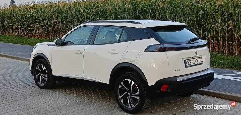 Peugeot 2008 12 100 koni 2020 Motoryzacja Płock