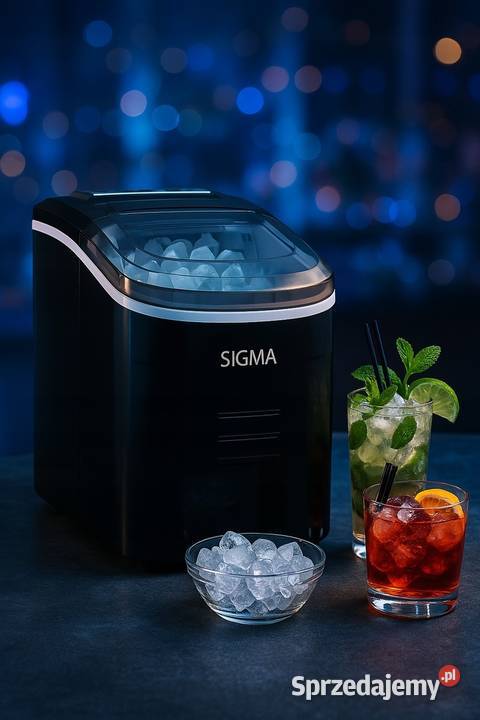 Automatyczna Kostkarka Maszyna Do Lodu Domowa Skawina