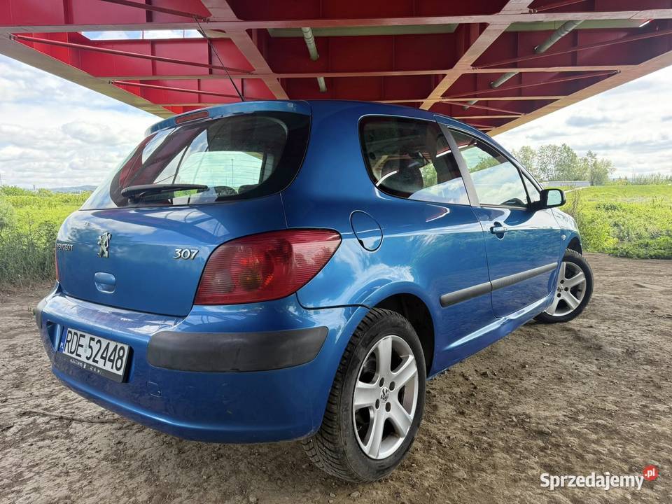 Peugeot 307 2004r 20 Diesel Do Jazdy Bez Rok produkcji 2004 307 podkarpackie Dębica