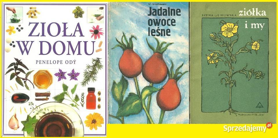 Zioła w domuJadalne owoce leśneZiółka i my zdrowie, pierwsza pomoc łódzkie