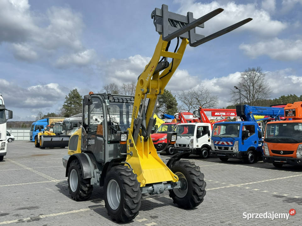 średnia kołowa Wacker Neuson WL 44 Łyżka 3400h