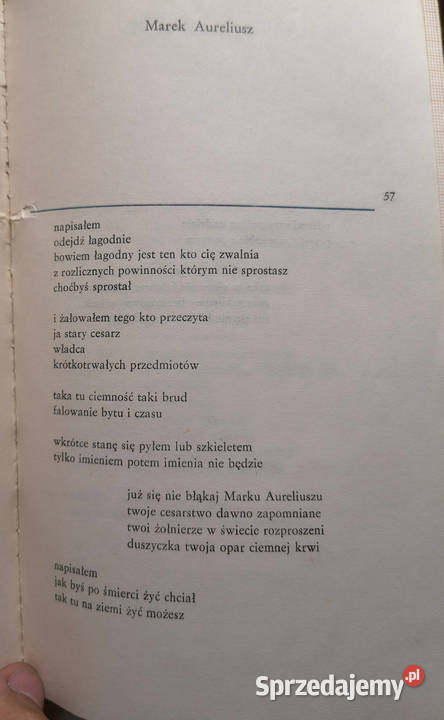 Ewa Filipczuk Cafe Chaos Sieć Czekam na w Sosnowiec