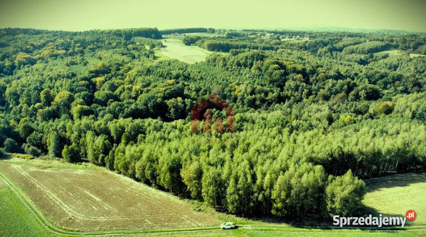 Grunt 15800m2 Gnojnica
