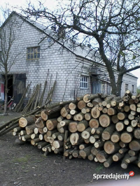 nieużytki z zabudowaniami Brzyszewo