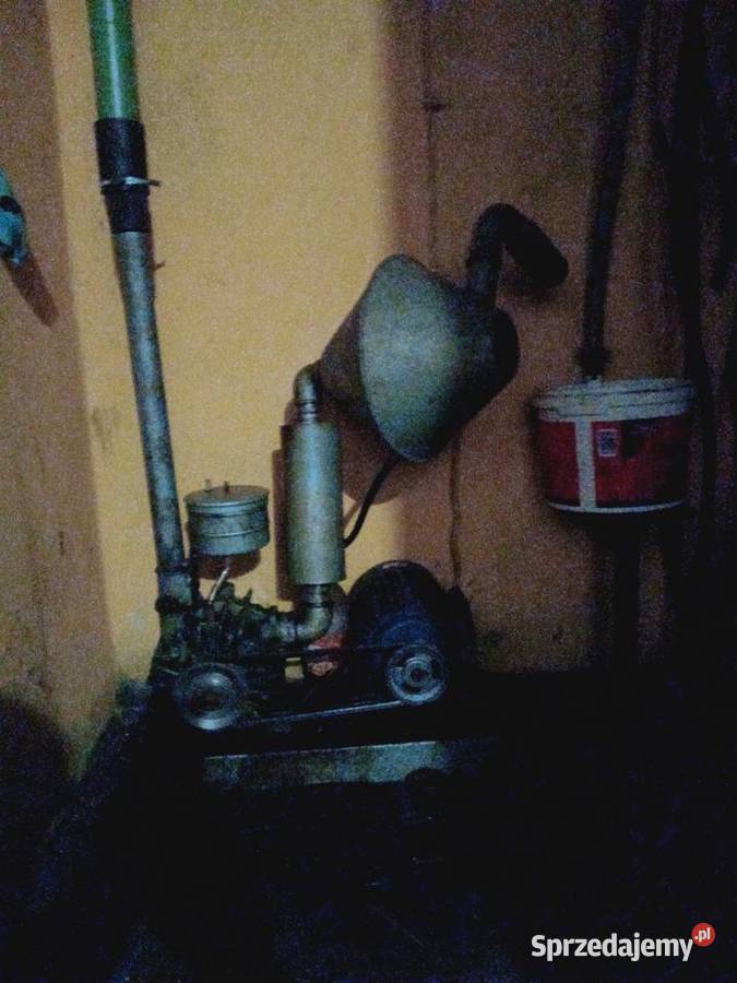 Dojarka Westfalia z hali udojowej Grajewo