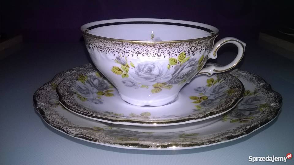 wspaniałe róże winterlinga Katowice sprzedam