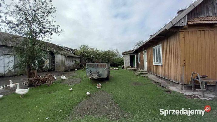 Sprzedam działkę z budynkami gospodarczymi Brzezówka sprzedam