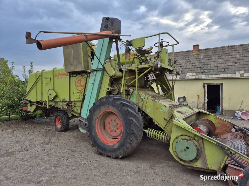 Kobajn do fasoli claas matador gigant Modryń-Kolonia