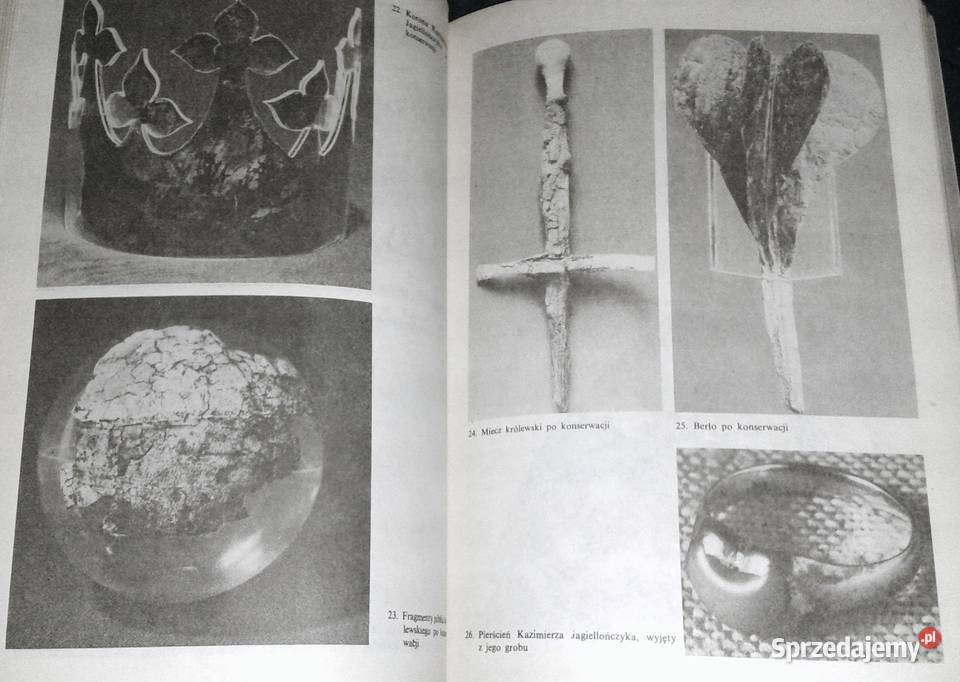 Klątwy mikroby i uczeni Tom 1 Zbigniew Święch Chełm