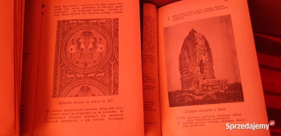 ŚWIĘCICKI HistoryaLiter Pow z Ilustr17Wa190110 wielkopolskie Iwno