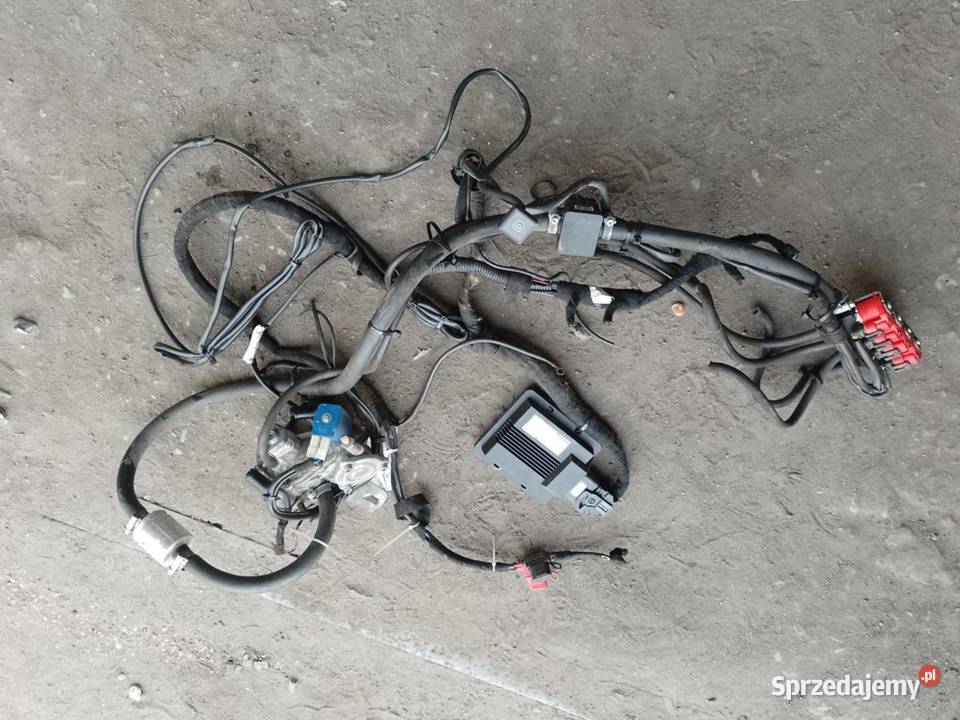 Kompletna Instalacja Gazowa SekwencyjnaTECH2044 Zduńska Wola