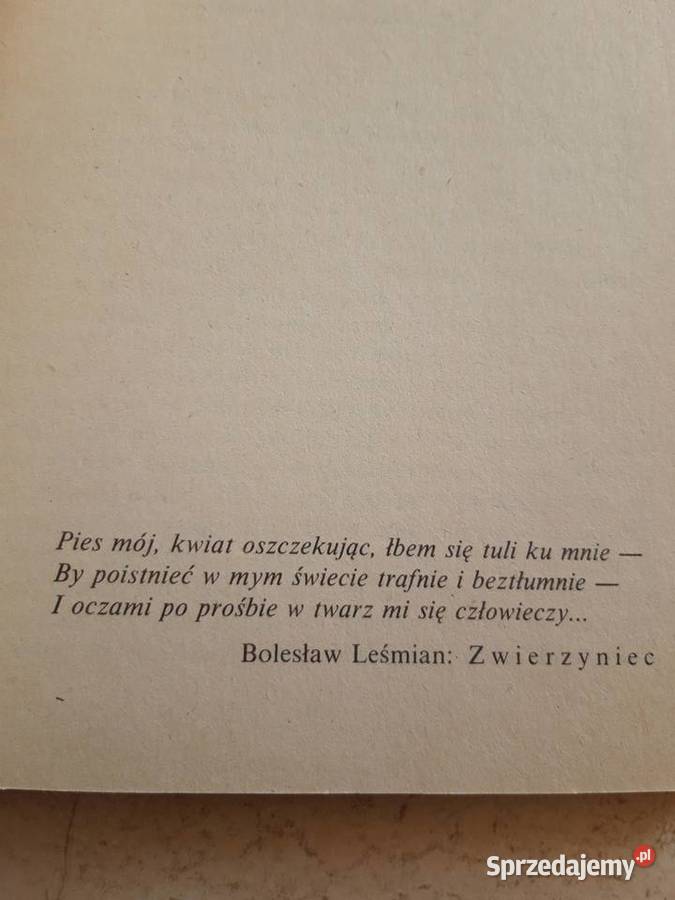 Najpiękniejszy psi uśmiech CZYTELNIK Adriana śląskie Bielsko-Biała