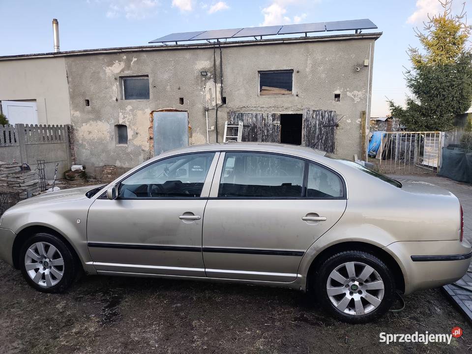 Skoda Superb wielkopolskie Trzcianka