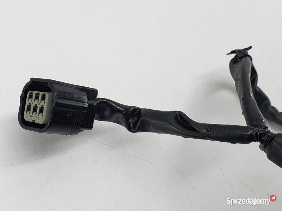 Dekiel Magneta Stator Alternator Honda Crf 1000 Łódź