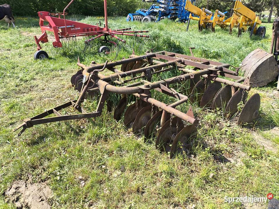 Talerzówka nieuszkodzony Zawda